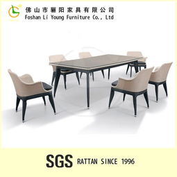 環(huán)保時(shí)尚簡(jiǎn)約藤藝休閑藤椅 花園庭院陽臺(tái)桌椅 藤編家具 藤椅