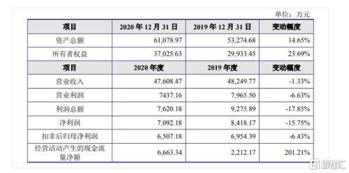金智教育聚焦高等教育信息化，2020年?duì)I收達(dá)4.7億元，核心業(yè)務(wù)為信息系統(tǒng)集成服務(wù)